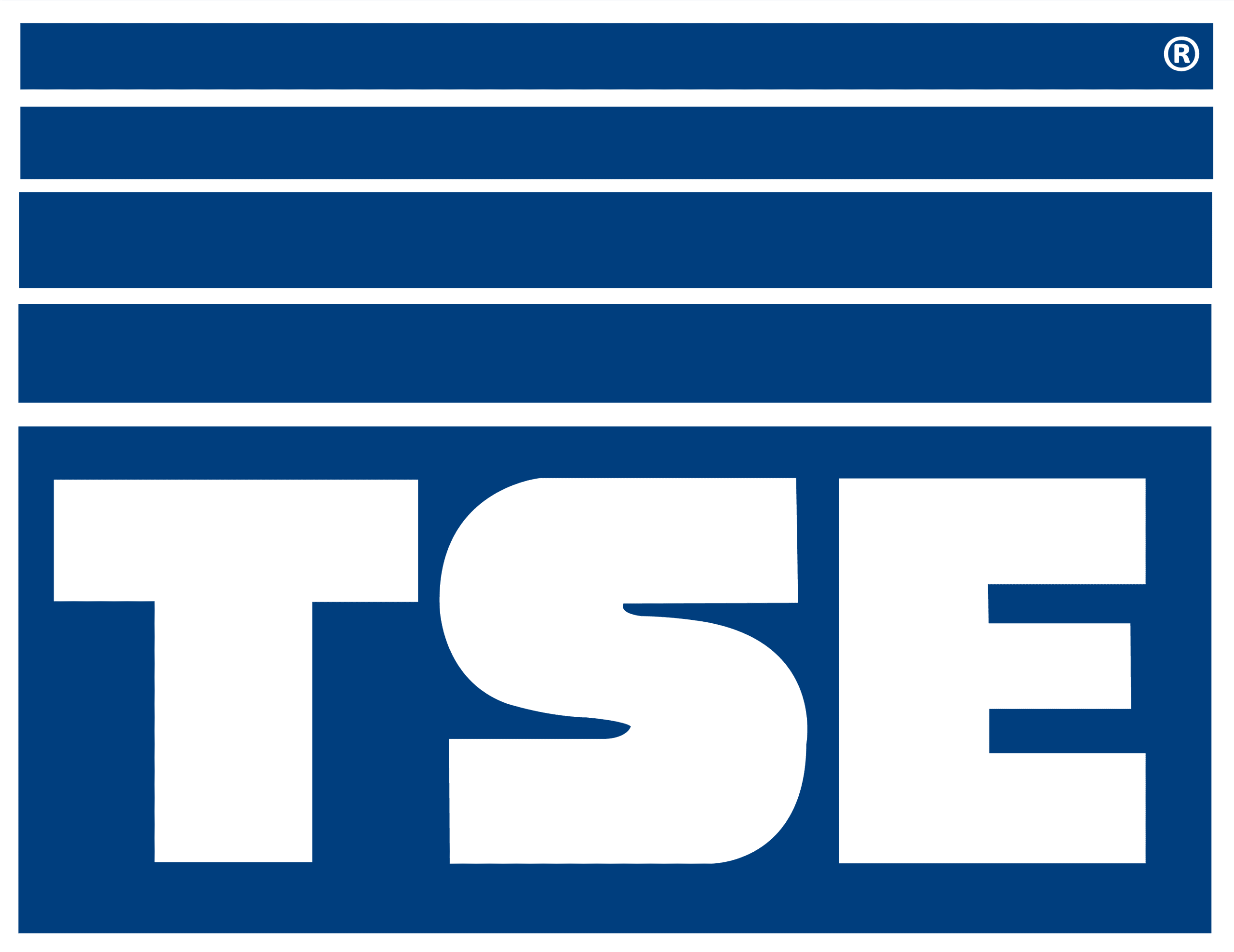 TSE Corporate Logo 1984